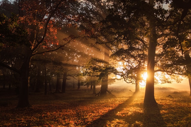 The Awesomeness of God’s Glory: Ezekiel Overview Part 1
